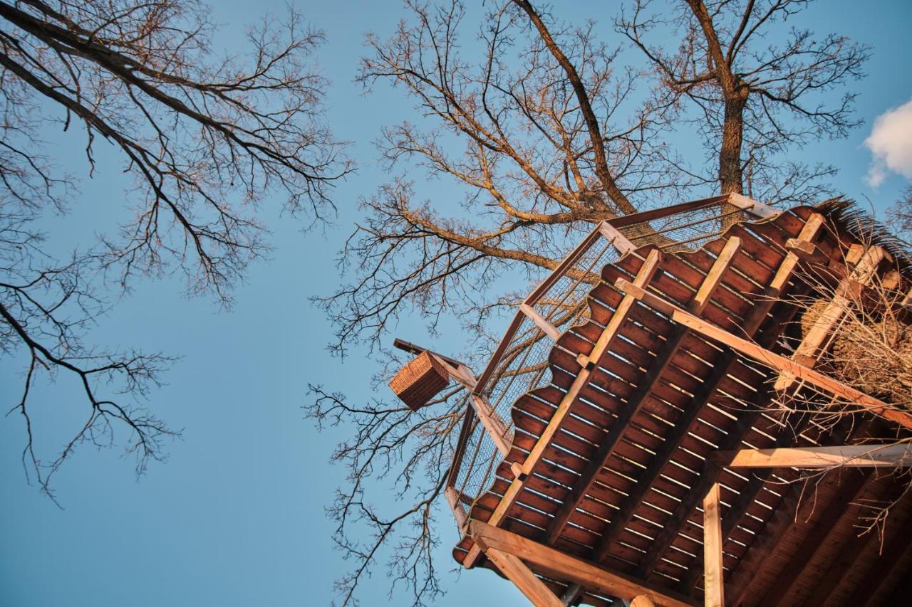 Villa Treehouse Kremilek Jesenice  Esterno foto